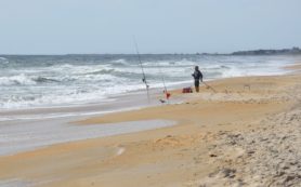 Corpus Christi Fishing Report